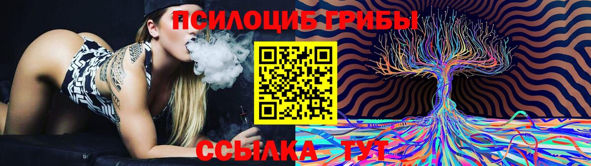 Псилоцибиновые грибы мицелий Ульяновск