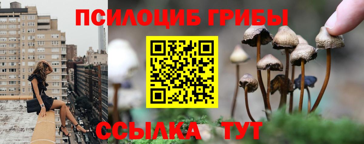 Ульяновск  Галлюциногенные грибы Cubensis  Вход с VPN  купить закладку  Галлюциногенные грибы ЛСД 